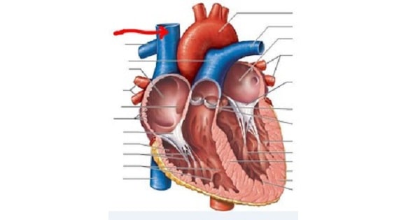 Image Based Question