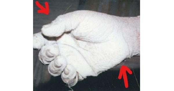 Image Based Question