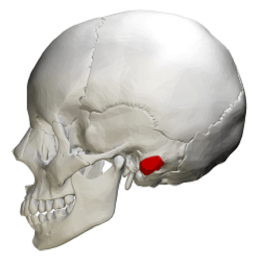 1486037289 - www.medicoapps.org