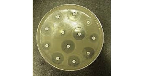Image Based Question