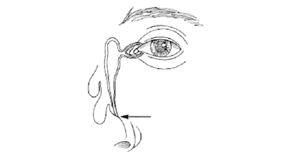 Image Based Question