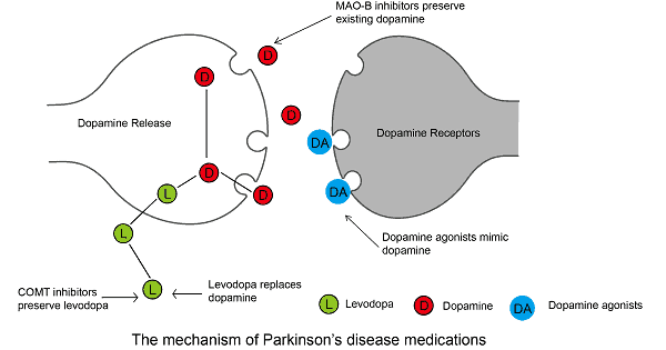 Anti Parkinsonism Drugs Www Medicoapps Org
