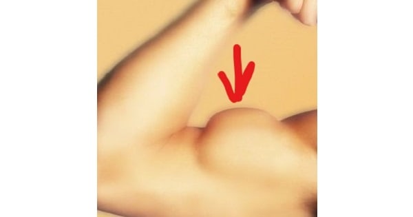 Image Based Question