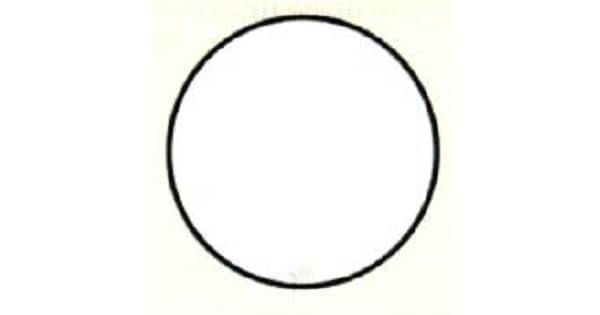 Image Based Question