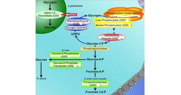 Image Based Question