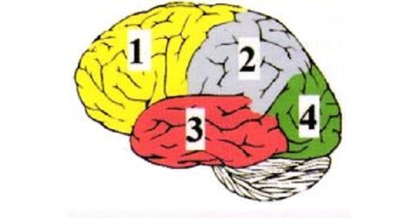 Image Based Question