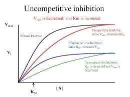 ENZYME INHIBITION (COMPETITIVE, NON-COMPETITIVE AND UNCOMPETITIVE) - New